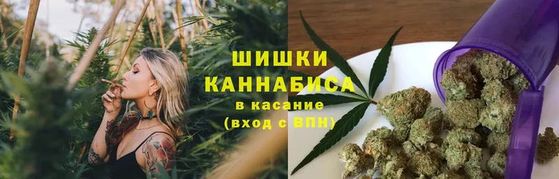 купить  сайты  Черкесск  Конопля тримм 